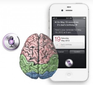 siri-on-the-brain